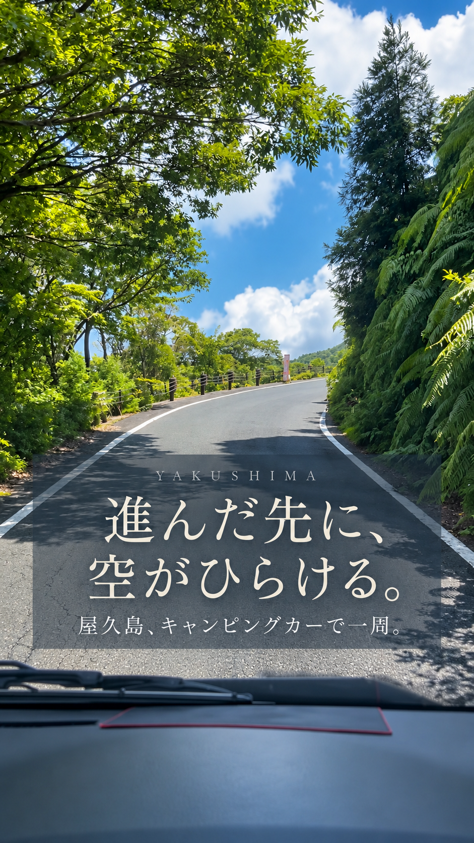 西部林道を進むキャンピングカーの車窓。木々の間に青空がひらけている。